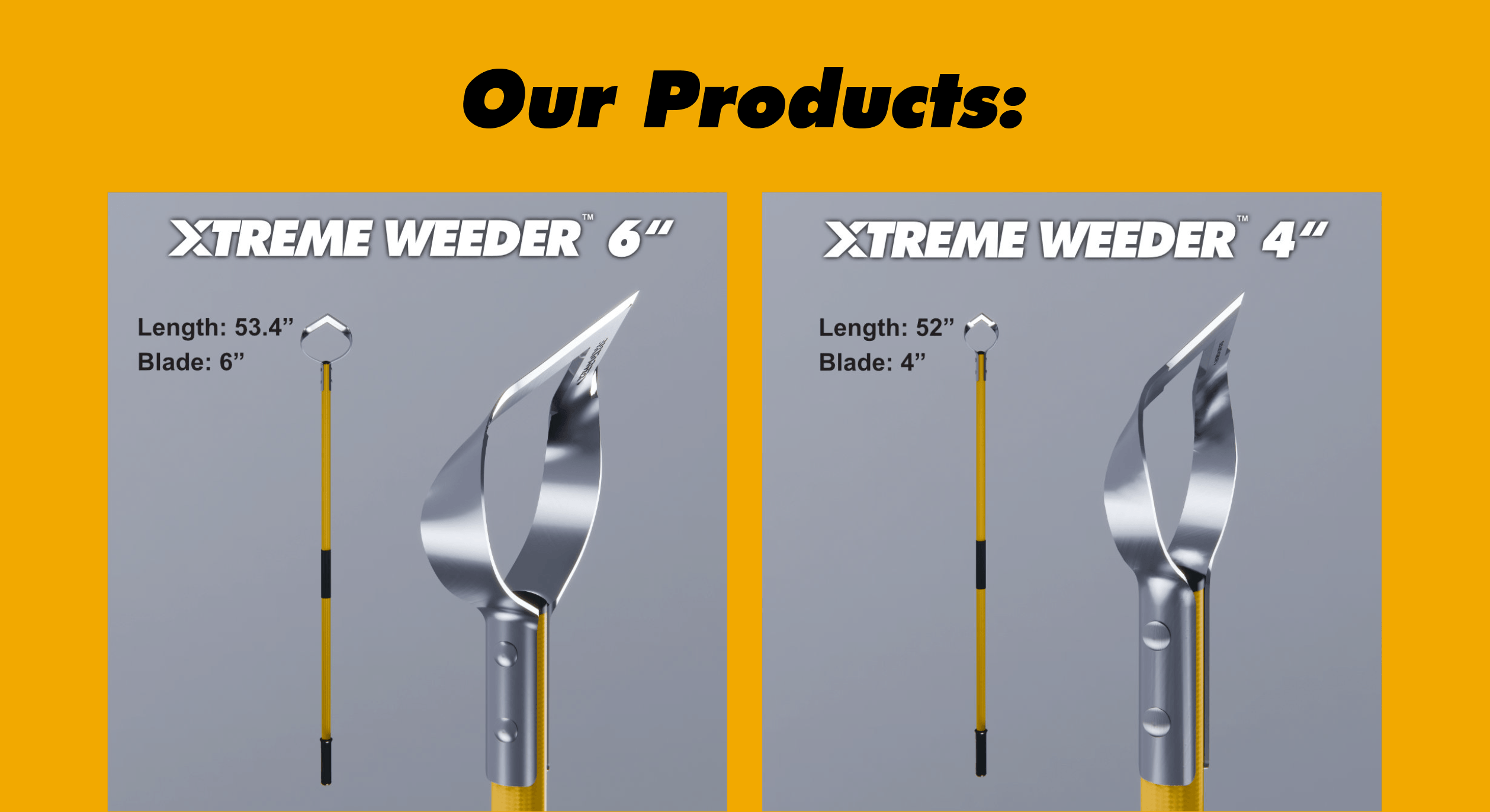 Our products